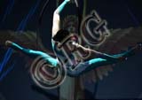 RBG_3551