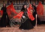 RBG_4684
