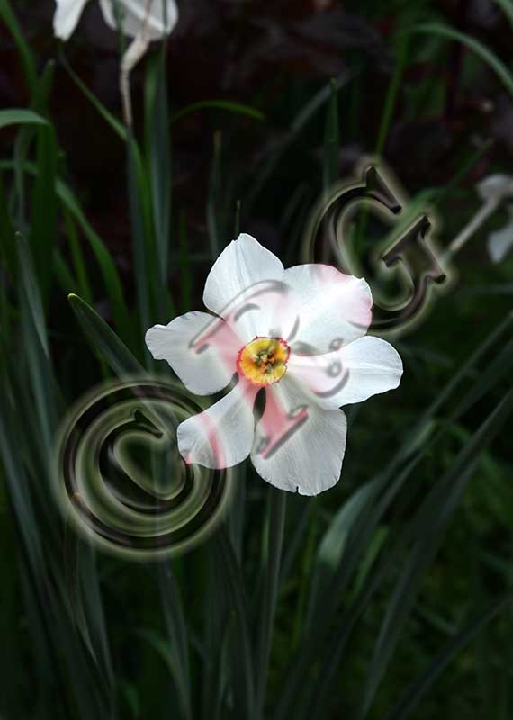 RBG_0763