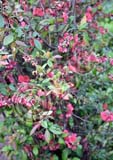 RBG_0757