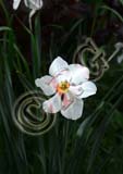 RBG_0763
