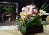 RBG_0197