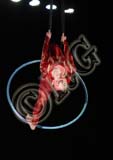 RBG_5966