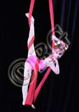 RBG_6504