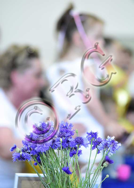 RBG_0883