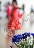 RBG_0468