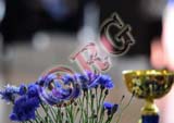 RBG_0469